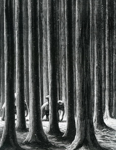 北暹罗的巨大柚木和大象图片下载