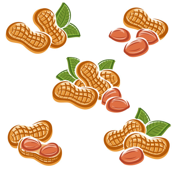 花生。收集图标花生。向量图片下载