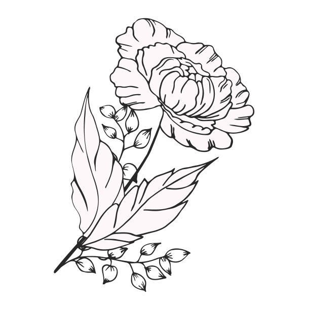 精致的花卉构成，背景郁郁葱葱，豪华的花，芽，叶。用于框架，卡片，海报，海报，分隔，边框。手绘。有空格的文本图片下载