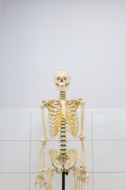 经口内窥镜甲状腺切除术图片下载