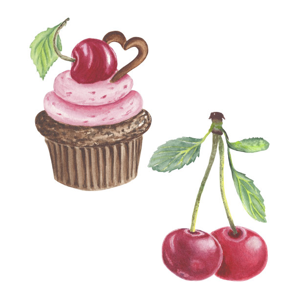 樱桃水果剪纸，浆果与叶，樱桃枝，樱桃蛋糕，卡普蛋糕与巧克力。一套水彩植物插图标签，菜单，标志，邀请或包装设计图片下载