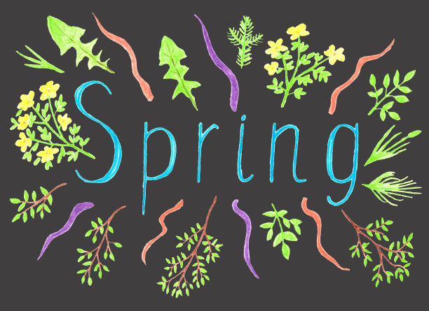 春天的文字插图装饰植物，花和树枝用彩色铅笔手绘孤立的灰色背景图片下载