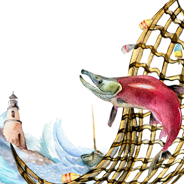 构成鲑鱼，银鱼和渔网水彩插图孤立在白色。图片下载