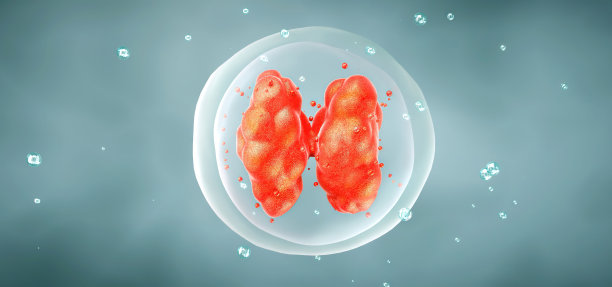 人类细胞或胚胎干细胞显微镜背景的3D渲染图片下载