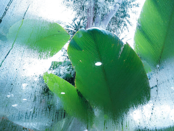 雨滴落在窗户上图片下载