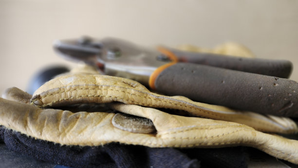 蓝领工人。工作台上戴安全手套。园艺剪。图片下载