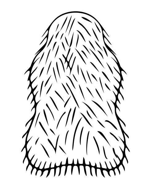 毛皮形状的地毯。草图。地板垫与羊毛覆盖。涂鸦风格的地毯。图片下载