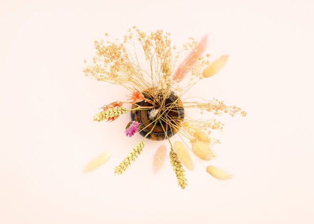 顶部视图的各种干燥植物在花瓶上的粉红色图片下载