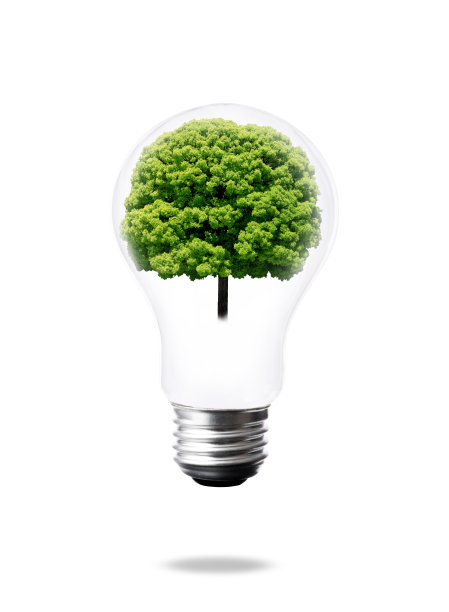 灯泡漂浮在半空中，里面有一棵樟树图片下载