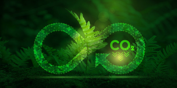 以森林蕨类植物为背景的循环经济图标和二氧化碳符号。循环经济理念，可持续商业发展，减少二氧化碳排放，改善环境图片下载