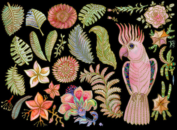 集从水彩画热带花卉，棕榈叶和幻想鹦鹉孤立在黑色背景图片下载