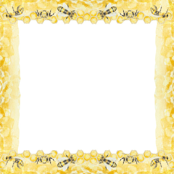 水彩手绘的蜜蜂和蜂蜜孤立在白色背景框架图片下载