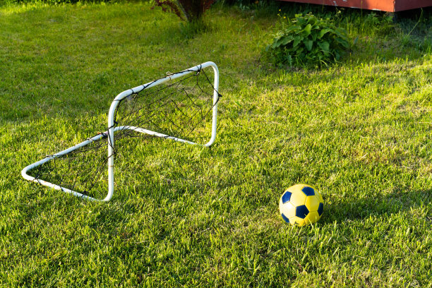 一个足球在绿色草坪和一个小门上。图片下载