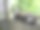 猫的黑色白色在绿色植物背景在早晨的阳光图片下载