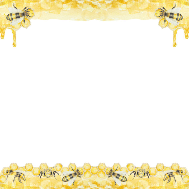 水彩手绘的蜜蜂和蜂蜜孤立在白色背景框架图片下载
