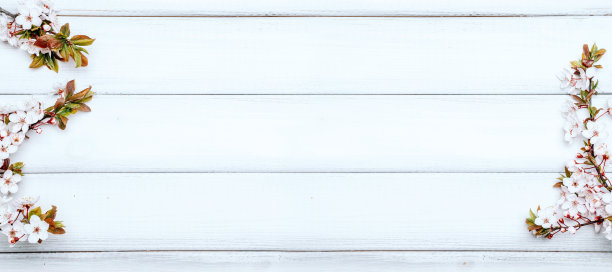 五月花迎春花开。四月花自然开花树在木制背景。复活节的晴天。果园抽象模糊的背景。春天。图片下载