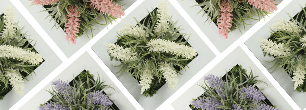 人造花嵌在木框式盒子中，供家居、食堂墙面装饰无背景，透明，PNG图片下载