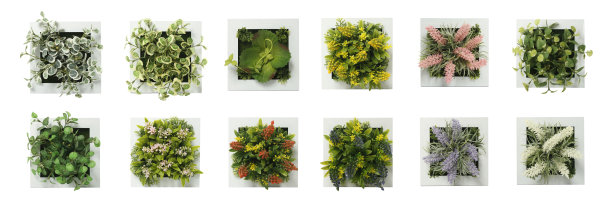 人造花嵌在木框式盒子中，供家居、食堂墙面装饰无背景，透明，PNG图片下载