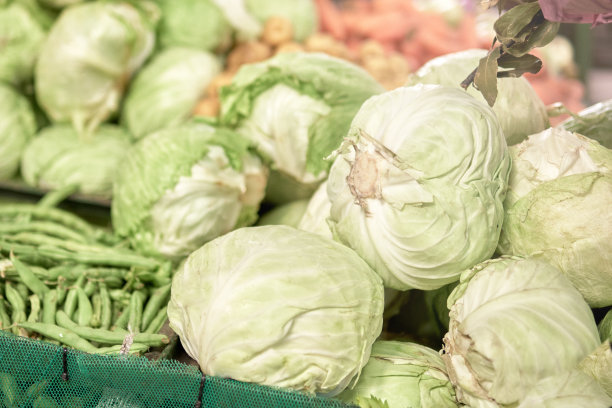 市场摊位上堆放的几棵卷心菜的特写图片下载
