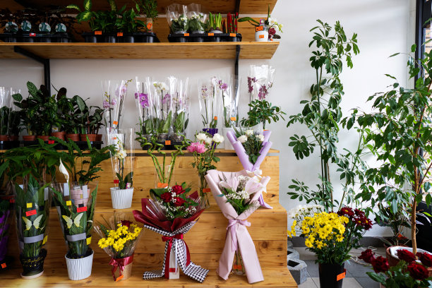 花店的花图片下载