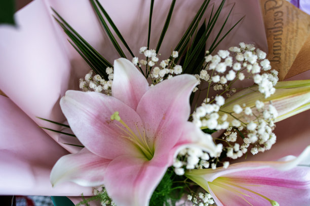 花店里的百合花桶图片下载