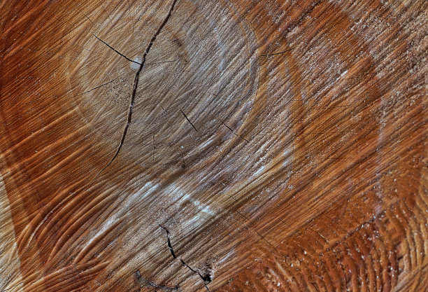 漂亮的木纹。木头的背景。木纹图案纹理背景图片下载