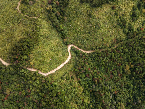 茶山春季自上而下纹理图图片下载