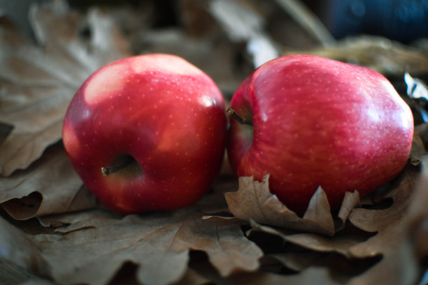 两个红苹果在棕色的叶子上图片下载