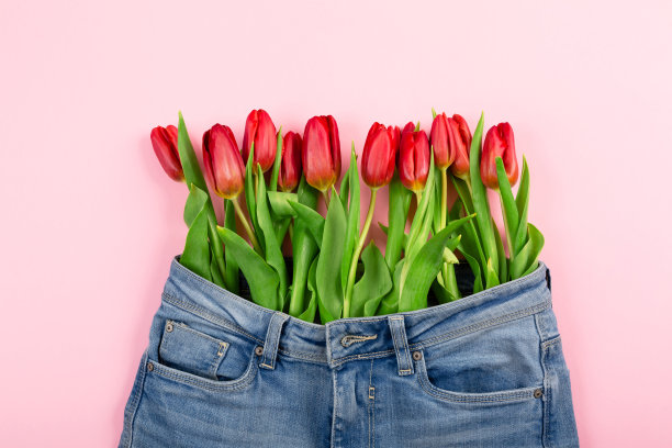 粉色背景下，一束红色郁金香从裤子或短裤里探出头来。健康饮食的概念，美丽的身体，青春，减肥或减肥。图片下载