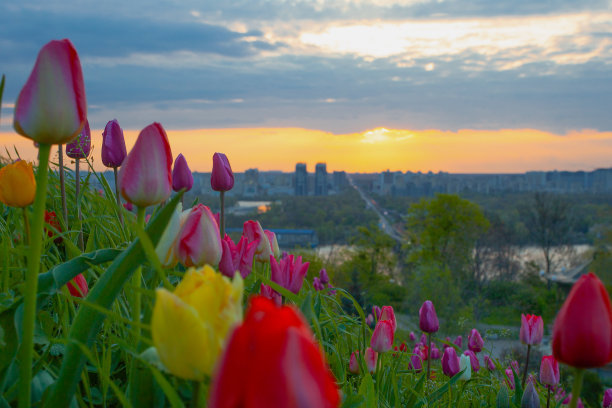 基辅市俯瞰弗洛姆公园斯拉夫与郁金香花坛图片下载