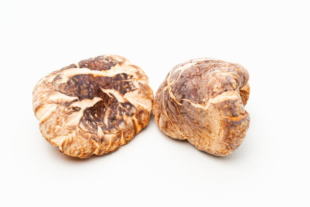 白色背景上分离的干香菇。图片下载