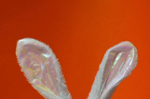 白色毛茸茸的兔子耳朵。背景为复活节快乐，春节假期图片下载