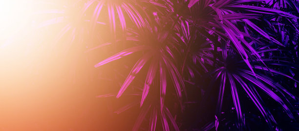 热带叶林在黑暗的背景中发光。图片下载