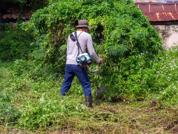 一名男子用割草机割草坪上的草图片下载