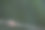 网上的蜘蛛图片下载