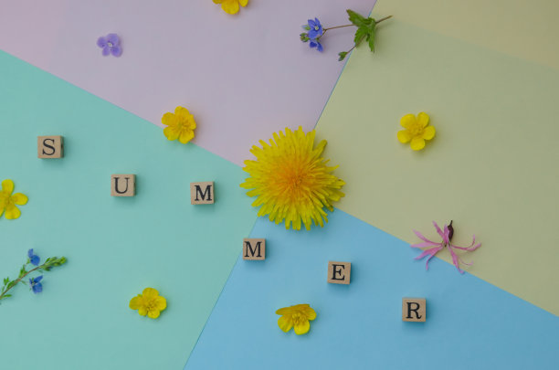 彩色背景与颜色和铭文夏天图片下载