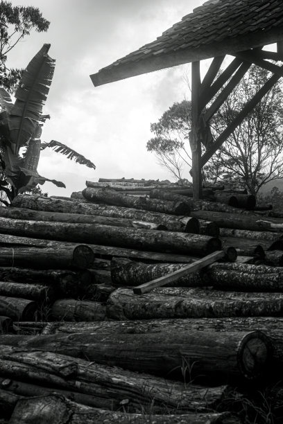 老柴堆图片下载