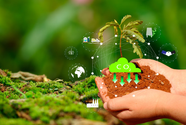 二氧化碳减排概念。手工种植带有环保标志的树木。全球变暖。可持续发展。太阳能和绿色商业，可再生能源，未来的可持续性，ESG图片下载