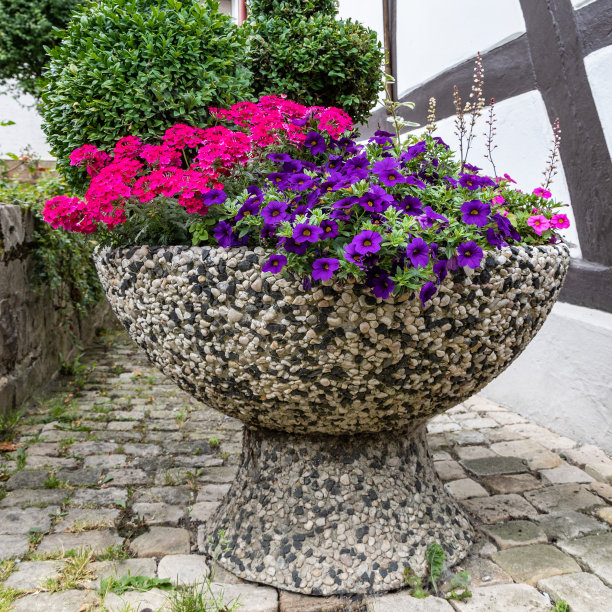 鹅卵石人行道上的大花盆图片下载