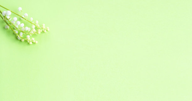 旗帜与美丽的山谷百合花对绿色背景。盛开的分支。春天静物生。发短信的地方。春天或母亲节的概念图片下载