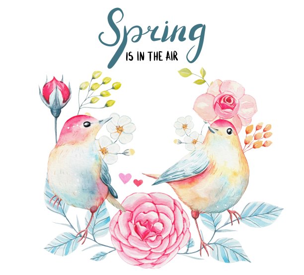 手绘春卡，水彩鸟语花香图片下载