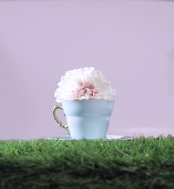 一杯绿草如茵的春茶图片下载