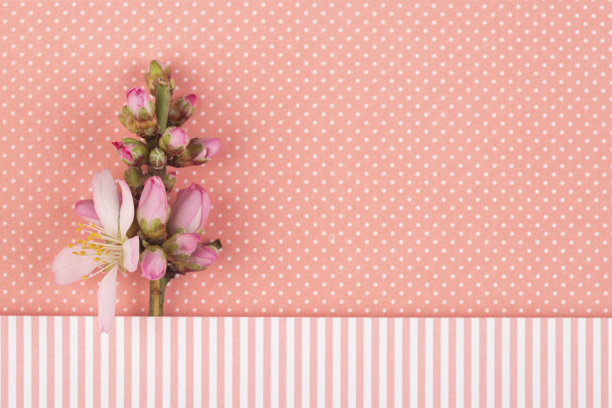 春季贺卡图片下载