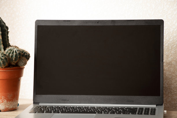 笔记本电脑在家里房间仙人掌旁边的桌子上，笔记本电脑在桌子上，对着笔记本电脑工作图片下载