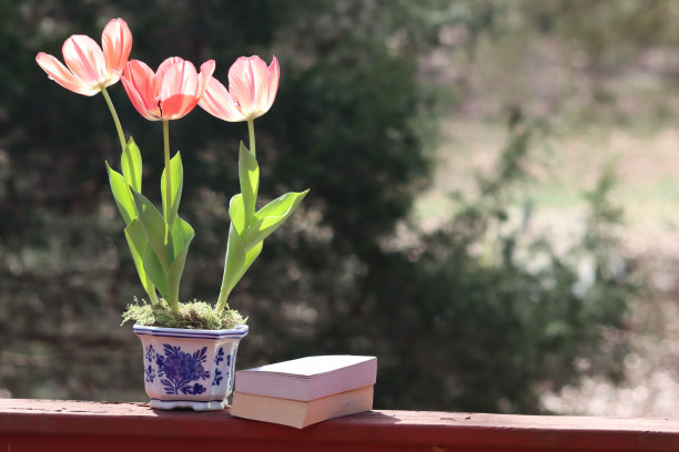 郁金香和书的宁静景象图片下载