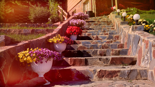 房子前面的天然石材景观。石头楼梯蜿蜒穿过华丽的后院花园。紫粉白花矮牵牛花在家里的花园图片下载