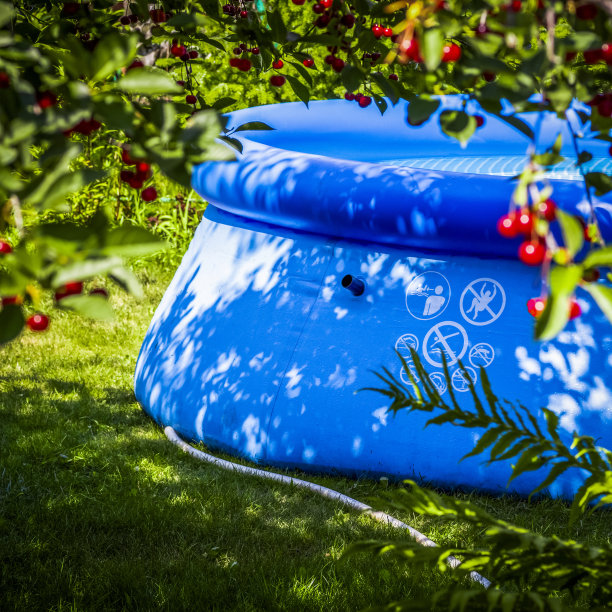 后院的游泳池图片下载