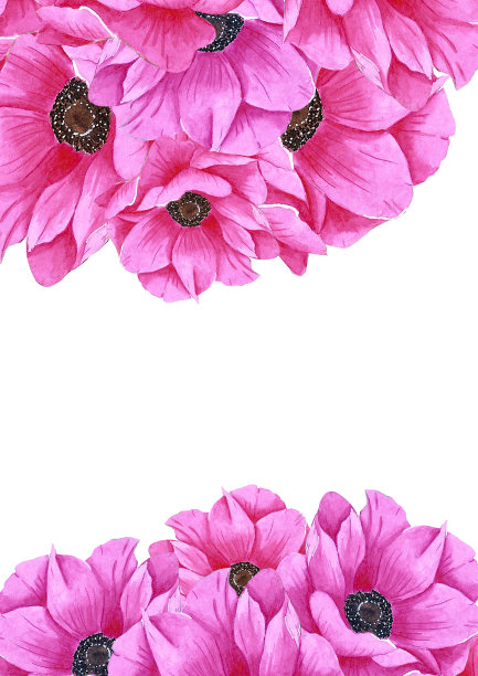 手绘水彩粉红海葵花卡片。孤立在白色背景上。剪贴簿，明信片，横幅，标签，海报图片下载