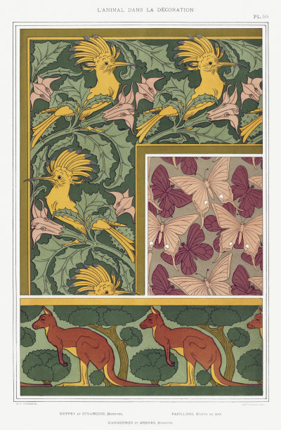 新艺术风格的图案。蜂鸟和袋鼠图片下载