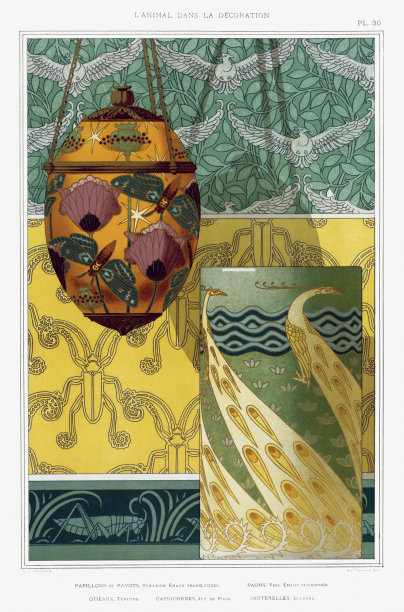 新艺术风格的图案。孔雀与蝴蝶图片下载